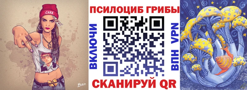 KRAKEN рабочий сайт  Курлово  это наркотические препараты  Галлюциногенные грибы Psilocybe 