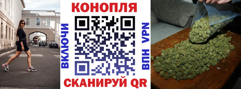 МАРИХУАНА план  блэк спрут сайт  Курлово 